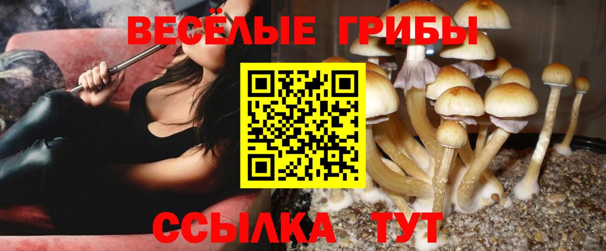 Псилоцибиновые грибы ЛСД  Вход с VPN  цена   Копейск 